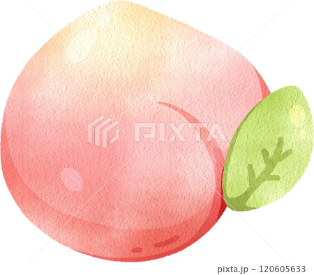Peach Nerikiri, Japanese sweet, watercolor digital painting hand-drawn illustration 120605633