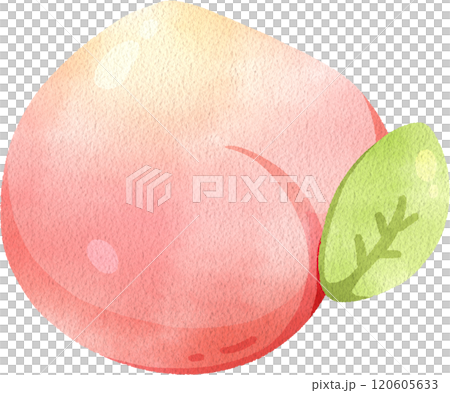 Peach Nerikiri, Japanese sweet, watercolor digital painting hand-drawn illustration 120605633