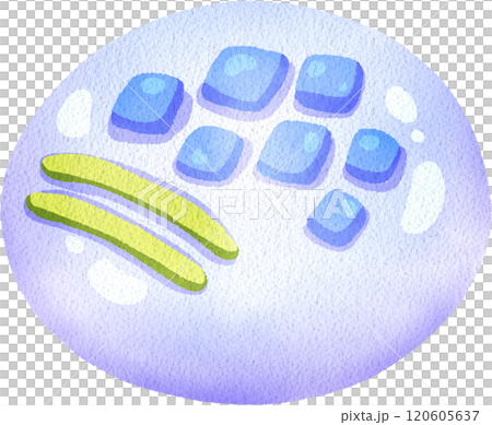 Blue Nerikiri, Japanese Dessert, watercolor digital painting hand-drawn illustration 120605637