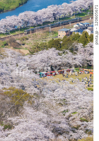 一目千本桜と東北本線 120605671