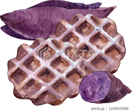 Illustration of sweet purple sweet potato waffles, hand-drawn in watercolor. 120605686