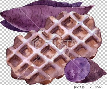 Illustration of sweet purple sweet potato waffles, hand-drawn in watercolor. 120605686