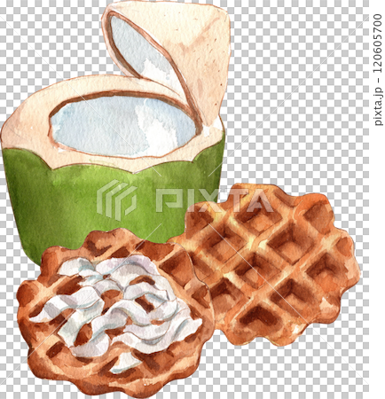 Hand-drawn illustration in watercolor of coconut waffles. Hand-drawn illustration in watercolor of coconut waffles. 120605700