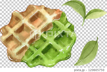 Green Tea waffle, Hand Drawn Illustration Watercolor paintin 120605750