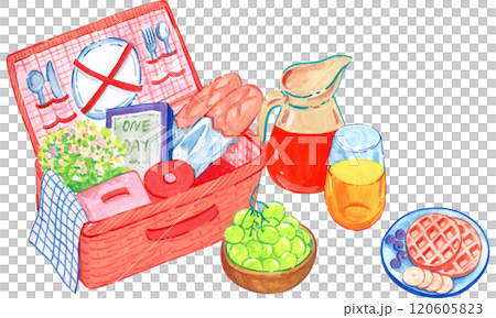 Basket of food and drinks for a picnic, watercolor painting hand-drawn illustration 120605823