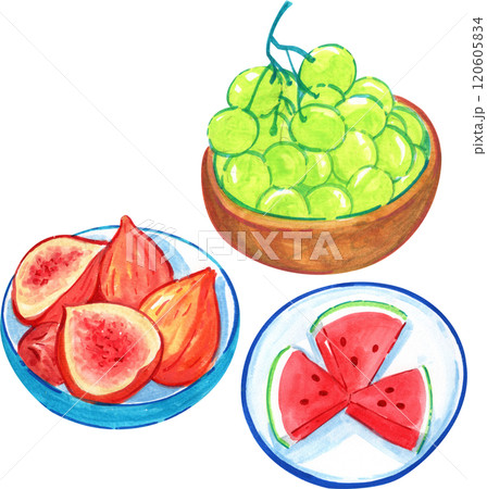Fruits for a picnic, watercolor painting hand-drawn illustration 120605834
