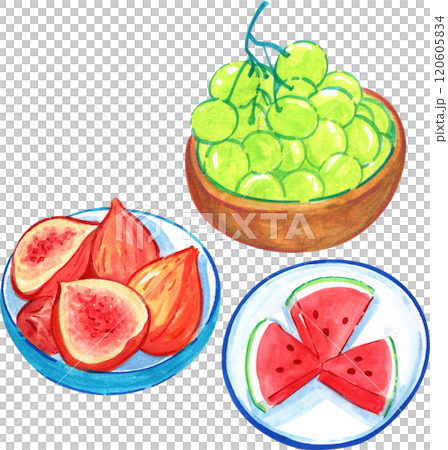 Fruits for a picnic, watercolor painting hand-drawn illustration 120605834