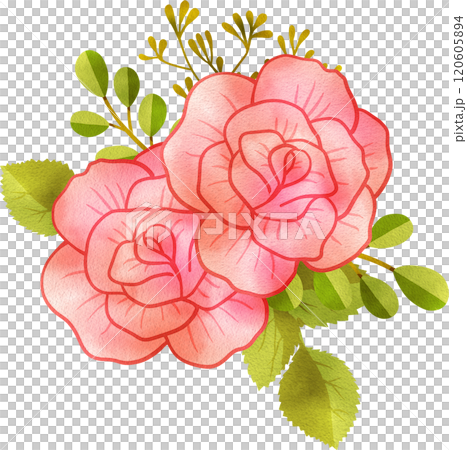 Bouquet of Red Roses with Leaves, Hand Drawn Illustration Watercolor Bouquet of Red Roses with Leaves, Hand Drawn Illustration Watercolor 120605894
