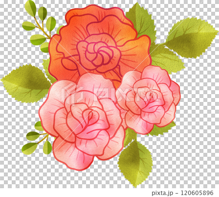 Bouquet of Roses and Carnation with Leaves, Hand Drawn Illustration Watercolor 120605896