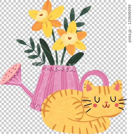 orange cat sleeping near yellow daffodil flowers, hand-drawn digital painting illustration orange cat sleeping near yellow daffodil flowers, hand-drawn digital painting illustration 120606099