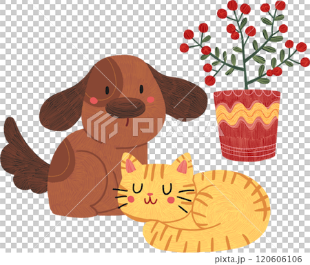 Orange cat sleeping, brown dog sitting, and red berry plant, hand-drawn digital painting illustration Orange cat sleeping, brown dog sitting, and red berry plant, hand-drawn digital painting illustration 120606106