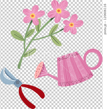 pink cluster flowers, watering can, pruning scissors, hand-drawn digital painting illustration pink cluster flowers, watering can, pruning scissors, hand-drawn digital painting illustration 120606116