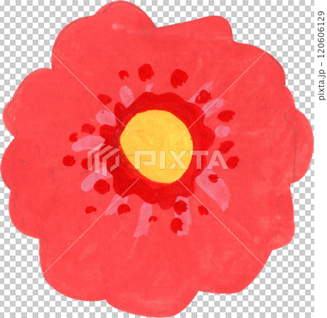 Beautiful red flowers, watercolor painting hand-drawn illustration 120606129
