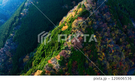 ナメゴ谷（奈良県上北山村）の紅葉スポットをカメラでは狙えない方向の紅葉絶景をドローンで撮影 120606536