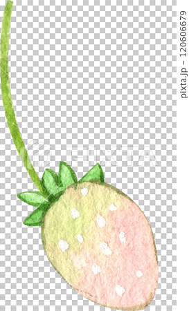 cute fresh strawberry, pastel watercolor, hand-drawn watercolor illustration 120606679