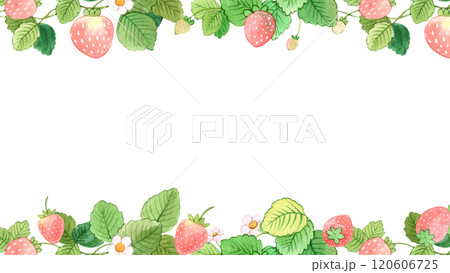 sweet strawberry celebration, strawberry festival, hand-drawn watercolor painting frame design 120606725