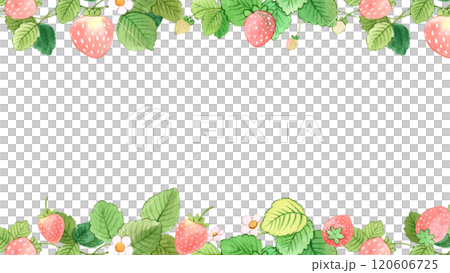 sweet strawberry celebration, strawberry festival, hand-drawn watercolor painting frame design 120606725