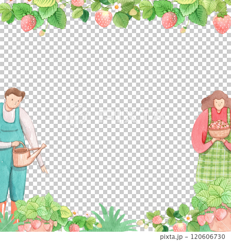 sweet strawberry celebration, strawberry festival, hand-drawn watercolor painting frame design 120606730
