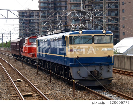 EF65 501+DD51+旧型客車の珍ドコ列車 EF65 501+DD51+旧型客車の珍ドコ列車 120606772