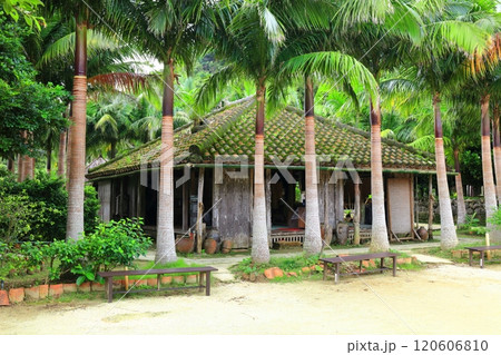 【沖縄県】琉球村の旧西石垣家 【沖縄県】琉球村の旧西石垣家 120606810