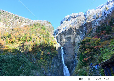 初雪の称名滝　2024 120606981