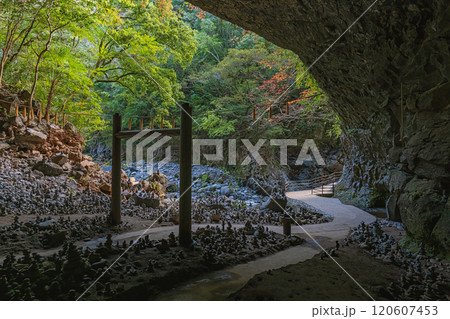 宮﨑 天岩戸神社 仰慕ケ窟 宮﨑 天岩戸神社 仰慕ケ窟 120607453