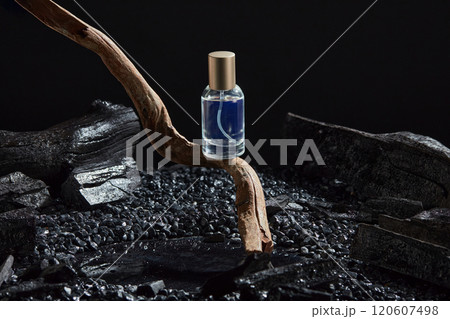 A close-up view of a perfume bottle without a brand placed on a dry tree branch, surrounded by black gravel and charcoal on the surface. The dark background creates luxurious space for the product. 120607498