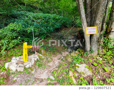 夏の烏帽子岳・南沢岳登山(北アルプス裏銀座登山口) 夏の烏帽子岳・南沢岳登山(北アルプス裏銀座登山口) 120607521