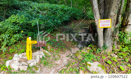 夏の烏帽子岳・南沢岳登山(北アルプス裏銀座登山口) 夏の烏帽子岳・南沢岳登山(北アルプス裏銀座登山口) 120607522