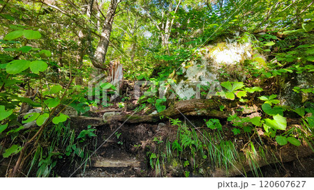 夏の烏帽子岳・南沢岳登山（ブナ立尾根） 120607627