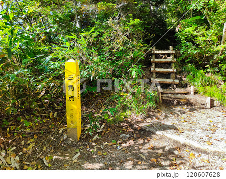 夏の烏帽子岳・南沢岳登山（ブナ立尾根・三角点） 120607628