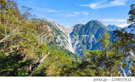 夏の烏帽子岳・南沢岳登山(ブナ立尾根から不動岳・不動岳崩壊地・南沢岳を望む) 夏の烏帽子岳・南沢岳登山(ブナ立尾根から不動岳・不動岳崩壊地・南沢岳を望む) 120607632