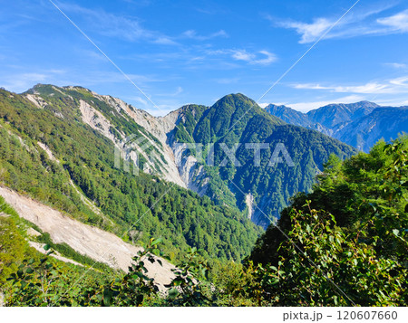 夏の烏帽子岳・南沢岳登山(ブナ立尾根から烏帽子岳・南沢岳・不動岳・針ノ木岳・蓮華岳を望む) 夏の烏帽子岳・南沢岳登山(ブナ立尾根から烏帽子岳・南沢岳・不動岳・針ノ木岳・蓮華岳を望む) 120607660