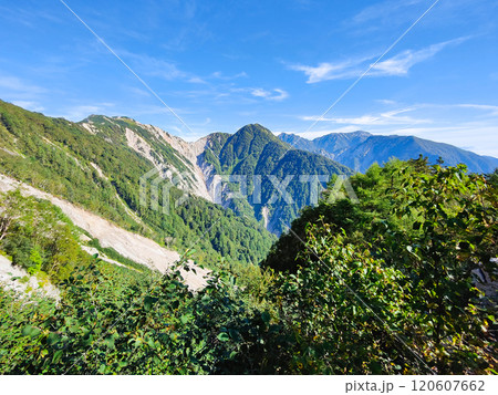 夏の烏帽子岳・南沢岳登山（ブナ立尾根から烏帽子岳・南沢岳・不動岳・針ノ木岳・蓮華岳・七倉岳を望む） 120607662
