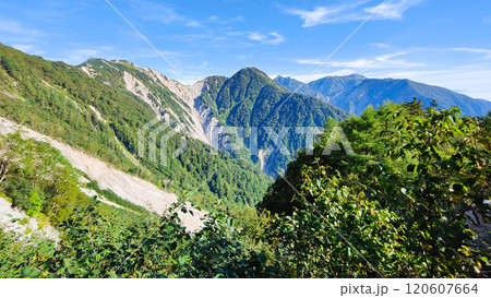 夏の烏帽子岳・南沢岳登山(ブナ立尾根から烏帽子岳・南沢岳・不動岳・針ノ木岳・蓮華岳・七倉岳を望む) 夏の烏帽子岳・南沢岳登山(ブナ立尾根から烏帽子岳・南沢岳・不動岳・針ノ木岳・蓮華岳・七倉岳を望む) 120607664