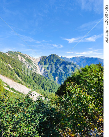 夏の烏帽子岳・南沢岳登山(ブナ立尾根から烏帽子岳・南沢岳・不動岳・針ノ木岳・蓮華岳・七倉岳を望む) 夏の烏帽子岳・南沢岳登山(ブナ立尾根から烏帽子岳・南沢岳・不動岳・針ノ木岳・蓮華岳・七倉岳を望む) 120607665