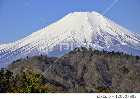 道志山塊の奥ノ岳 送電鉄塔からの富士山の展望 道志山塊の奥ノ岳 送電鉄塔からの富士山の展望 120607985