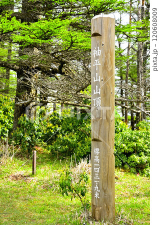 丹沢の袖平山山頂　春の頂 120608009