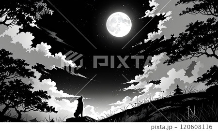 月夜に輝く幻想のキツネ_9 120608116