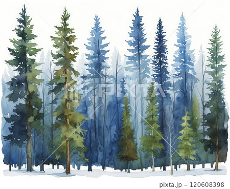 Colorful forest landscape with tall trees in varying shades of green and blue during winter time Colorful forest landscape with tall trees in varying shades of green and blue during winter time 120608398