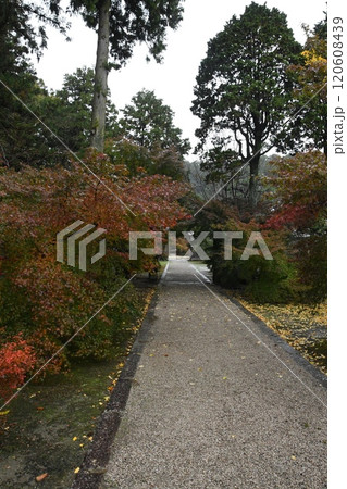 玉城 廣泰寺 紅葉 玉城 廣泰寺 紅葉 120608439