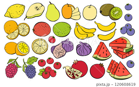 Fruit Icon Set Isolated on White Background 120608619