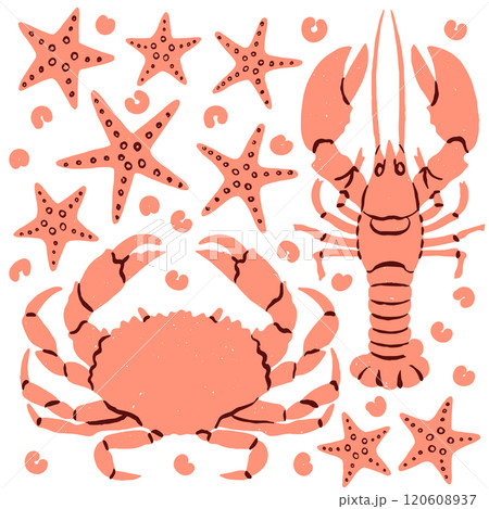 Ocean sea animal icon, crabs, seashell, starfishes, crayfish, crawfish Ocean sea animal icon, crabs, seashell, starfishes, crayfish, crawfish 120608937
