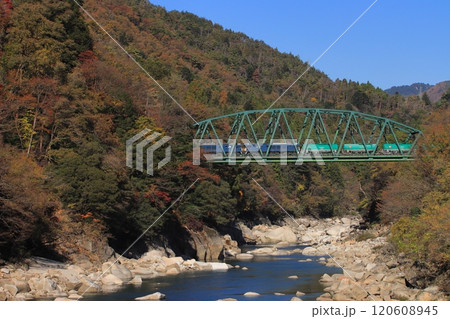 晩秋の木曽川を渡るEF64形重連の貨物列車(8084レ)_2024/11/23撮影 120608945