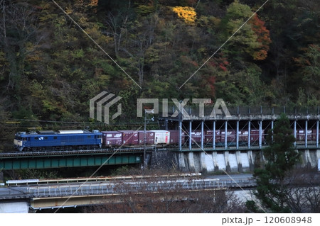 紅葉に染まる木曽路を力走するEF64-1046号機牽引の貨物列車(81レ)_2024/11/23撮影 120608948