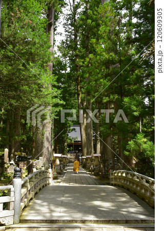 高野山奥の院 生身供 高野山奥の院 生身供 120609305