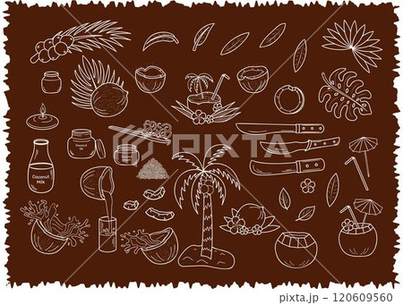 Set white line coconuts vector illustrations. Icon Coconut production. Half coconut, slice, palm leaves, machete, coconut oil, milk, cream, flakes. 120609560