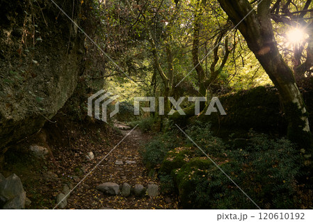 Meteora hiking trail in the forest, Greece Meteora hiking trail in the forest, Greece 120610192