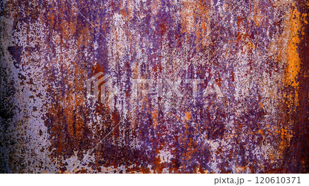 Wall Surface Wall Surface 120610371