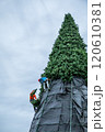 City climbers are installing main huge Christmas tree for all city residents on the central square of city. 120610381